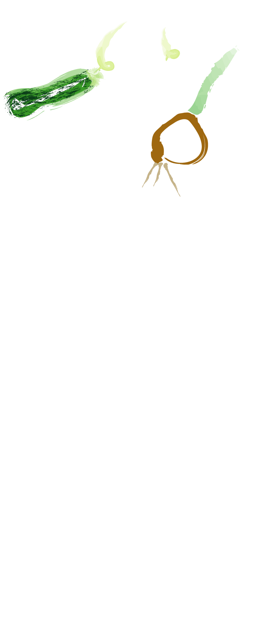 Parallax Philosophy Ltl